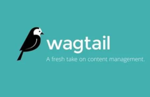 wagtail cms large.png